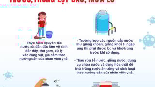 Bộ Y tế khuyến cáo phòng, chống một số bệnh thường gặp trong lụt bão, mưa lũ