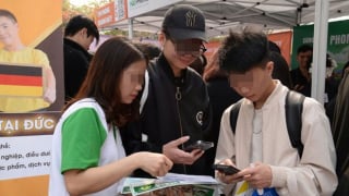 AI lên ngôi và lời khuyên về kỹ năng chọn nghề