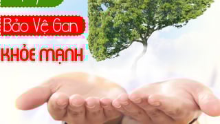 Lối Sống Hiện Đại Đang Âm Thầm Tàn Phá Lá Gan Của Chúng Ta