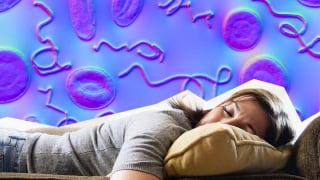 Những tác hại khi không vệ sinh giường ngủ thường xuyên