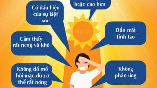 Phú Thọ: Cảnh báo nguy cơ sốc nhiệt do nắng nóng