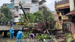 Phường Cầu Giấy tăng cường công tác phòng, chống thiên tai, bảo đảm an toàn mùa mưa bão năm 2025
