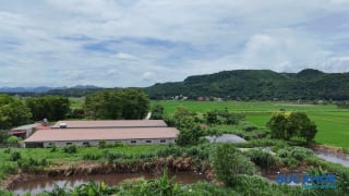 Thanh Hóa: Nỗi ám ảnh mang tên ô nhiễm tại trang trại lợn ở hai xã Thành Vinh và Thạch Bình