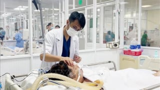 TP. Hồ Chí Minh lên kế hoạch thu dung, điều trị khi ca bệnh sốt xuất huyết tăng cao​