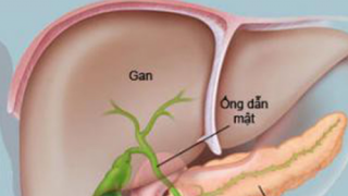 Chăm sóc gan đúng cách và những thực phẩm tốt cho gan