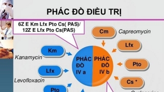 Phác đồ điều trị sốt virut