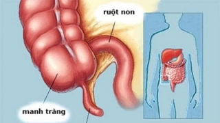 Tìm hiểu những bộ phận 'lạ' trên cơ thể