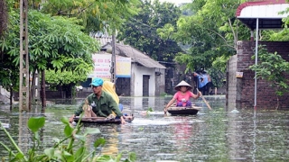 Ngập nước ngoại thành Hà Nội và nỗi lo bệnh dịch