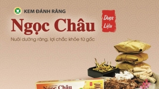 Chỗ nào bán kem đánh răng Ngọc Châu?