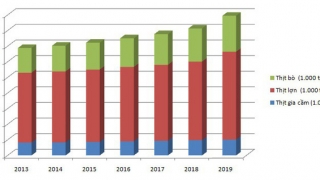 Ăn quá nhiều thực phẩm này, người Việt tự phá huỷ sức khoẻ