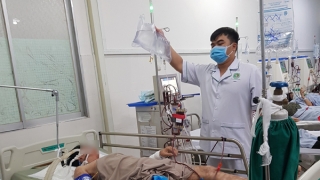 Ăn cá mặt thỏ, người đàn ông rơi vào hôn mê ở TP HCM