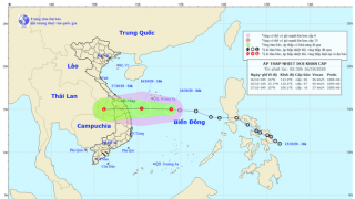 Áp thấp nhiệt đới đang cách Khánh Hòa - Đà nẵng 500km