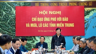 Phó Thủ tướng Trịnh Đình Dũng: Khẩn trương cứu trợ về lương thực, thực phẩm, nhu yếu phẩm cho người dân