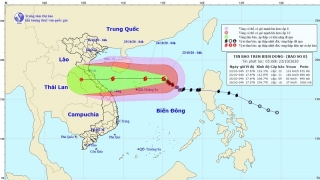 Bão số 8 gió giật cấp 15, hướng thẳng vào Hà Tĩnh - Quảng Trị