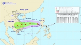 Bão số 10 giật cấp 10, gây mưa lớn ở miền Trung và Bắc Tây Nguyên