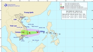 Bão số 12 hướng vào Phú Yên - Ninh Thuận, gió giật cấp 11