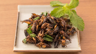 Những đồ ăn con người sẽ ăn trong tương lai