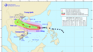 Bão số 13 giật cấp 15 chuẩn bị đổ bộ, từ Hà Tĩnh đến Quảng Nam mưa rất to từ ngày mai