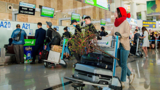 Hàng không nhận vận chuyển cành đào, cành mai Tết giá 495.000 đồng/bó
