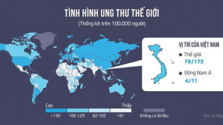 Năm 2020, Việt Nam tăng 7 bậc trên bản đồ ung thư thế giới