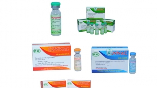 Vaccine phòng Covid-19 thứ 2 của Việt Nam được phát triển trên biến chủng mới của SARS-CoV-2