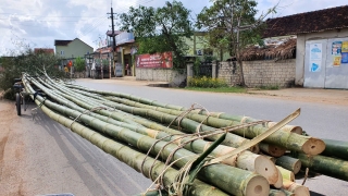 Dựng nêu tết, 3 người thương vong vì điện giật