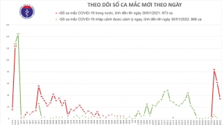 Sáng 30/1, có 34 ca mắc COVID-19 trong cộng đồng ở Hải Dương và Quảng Ninh