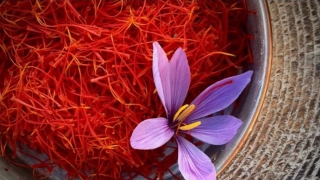 Saffron được ví như 'thần dược' cho sức khỏe nhưng một số người tuyệt đối không nên dùng