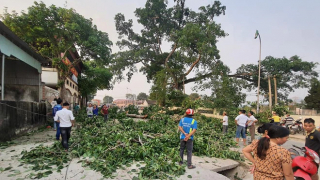 Vụ cây đa 300 tuổi gãy cành đè trúng 4 học sinh: 1 cháu bé đang hôn mê, 1 cháu phải chuyển tuyến