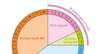 8 dấu hiệu rụng trứng giúp phát hiện thời điểm dễ thụ thai nhất của bạn