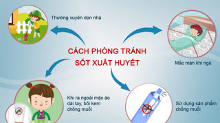 Ngoài tinh dầu, có rất nhiều cách giúp bạn đuổi muỗi phòng sốt xuất huyết