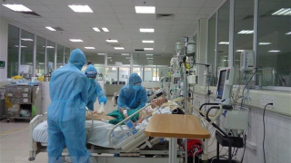 Thêm 234 bệnh nhân COVID-19 tử vong trong hai ngày