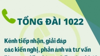 Hà Nội: Tổng đài hỗ trợ phòng chống dịch 1022 hoạt động từ ngày 19/8