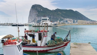 Gibraltar - Nơi có tỷ lệ tiêm chủng cao nhất thế giới