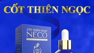 Sự thật về tinh dầu răng miệng Cốt Thiên Ngọc Neco