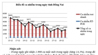 Đồng Nai: Sáng 31/12, ghi nhận 1.990 ca mắc COVID-19 mới