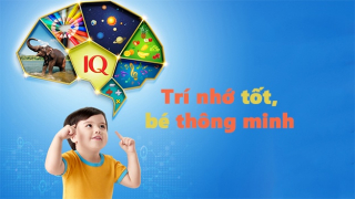 Mẹ có bỏ lỡ 3 giai đoạn vàng phát triển toàn diện não bộ của trẻ?