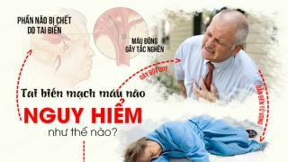 Chăm sóc và phục hồi sức khỏe người sau tai biến mạch máu não