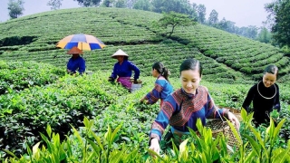 Bắc Giang thực hiện chiến lược phát triển gia đình vùng đồng bào dân tộc thiểu số và miền núi đến năm 2030