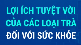 Lợi ích của các loại trà đối với sức khỏe