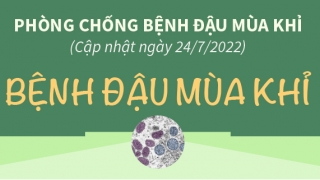 Bộ Y tế khuyến cáo phòng, chống bệnh đậu mùa khỉ