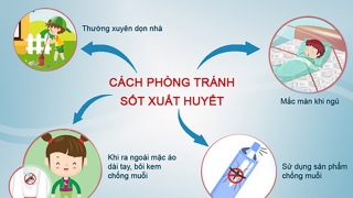 Bắc Giang tăng cường công tác phòng, chống sốt xuất huyết và các dịch bệnh truyền nhiễm khác