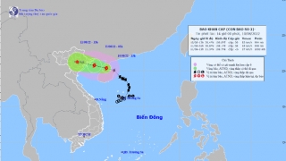 Công điện của Bộ Y tế về việc triển khai công tác y tế ứng phó với bão số 2 (Mulan)