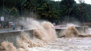 Các tỉnh, thành phố ven biển từ Quảng Ninh đến Quảng Ngãi chủ động ứng phó với khả năng bão xuất hiện trên biển Đông