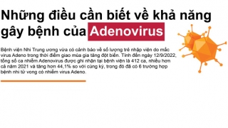 Infographic: Những điều cần biết về khả năng gây bệnh của Adenovirus