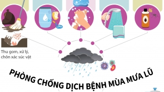 Infographic: Khuyến cáo về phòng, chống dịch bệnh mùa bão, lụt và xử lý nước sinh hoạt, vệ sinh môi trường sau bão lụt