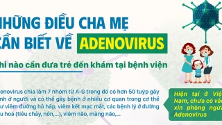 Infographic: Những điều cha mẹ cần biết về Adenovirus