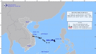 Tin cuối cùng về cơn bão số 5: Suy yếu thành áp thấp nhiệt đới