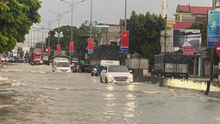 Nghệ An có công điện yêu cầu các địa phương tăng cường ứng phó với bão số 6