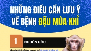 Infographic: Những điều cần lưu ý về bệnh đậu mùa khỉ